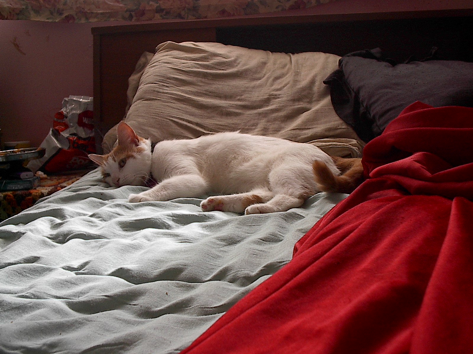 picture002.jpg