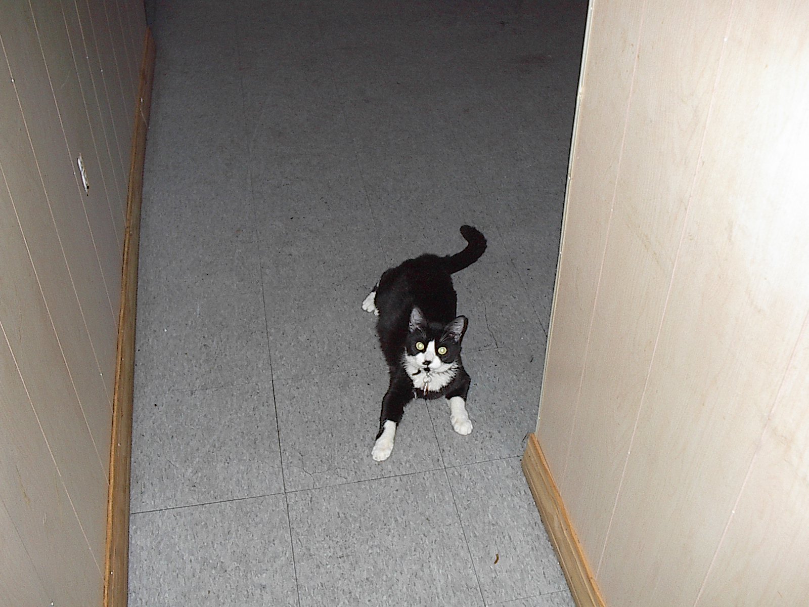 picture008.jpg