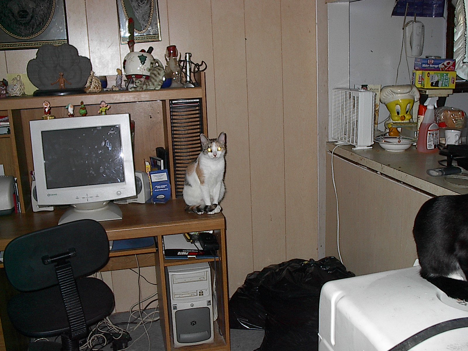 picture012.jpg