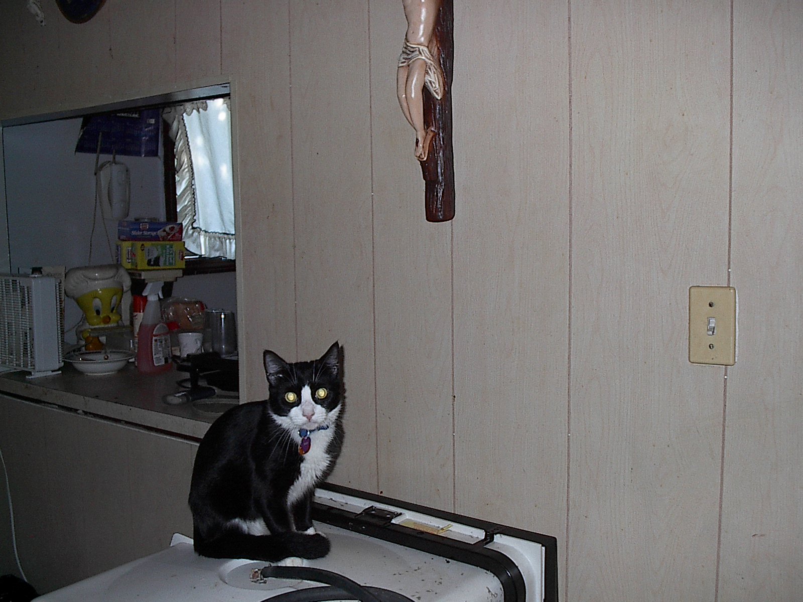 picture017.jpg