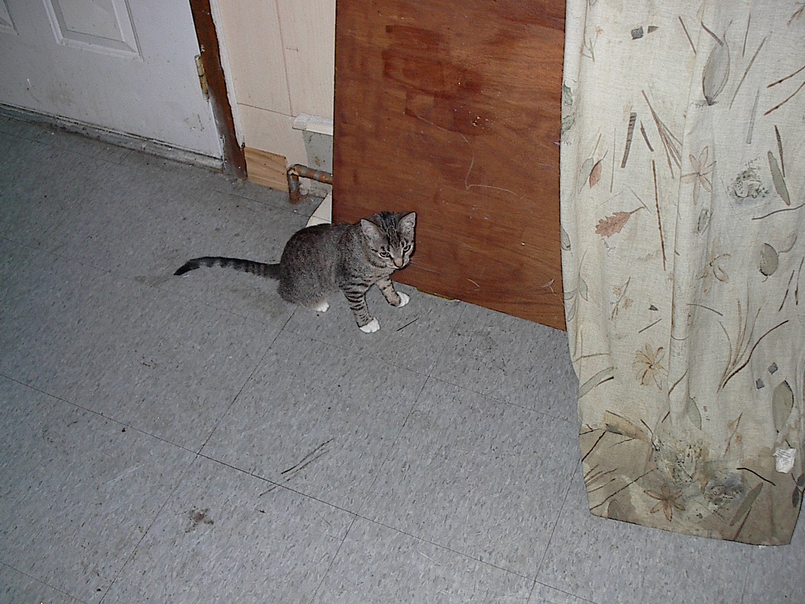picture13.jpg